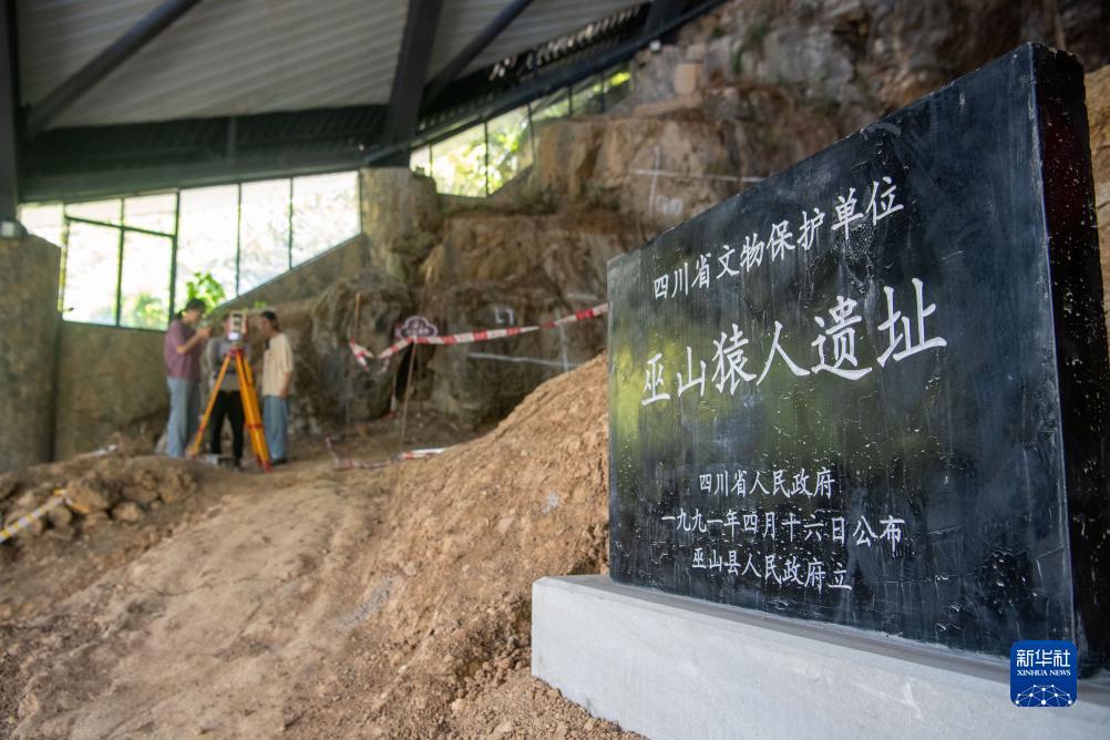 17175捕鱼达人